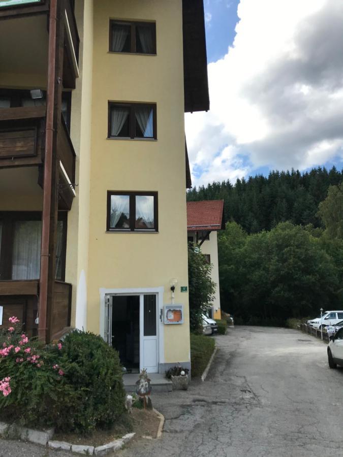Eisenstein Apartment Bayerisch Eisenstein Exterior foto